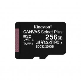 Micro-SD kort Kingston SDCS2/256GBSP 256GB
