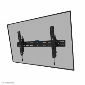 Neomounts TV-fäste 12597273000 43-98" 43" 86" 100 kg Svart Stål