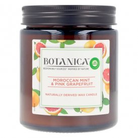 Doftljus Botanica Air Wick Mint Grapefrukt (205 g)