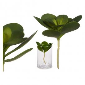 Dekorativ växt Grön Plast (16 x 25 x 16 cm) (18 x 23 x 18 cm)