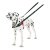 Company of Animals Hundsele Halti Svart/Röd Storlek M (58-86 cm) Nylon