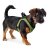 Hundsele Hunter Hilo-Comfort Lime XS-storlek (35-37 cm)