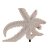 Prydnadsfigur DKD Home Decor Stjärna 20,20 x 8 x 31,5 cm Korall Vit Harts Marmor Sjöstjärna