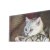 Schilderij DKD Home Decor S3018131 Kinderen Katten (28 x 1,5 x 28 cm) (4 Stuks)