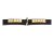 Hundhalsband Gloria Duna Svart Gyllene (40 x 2 cm)