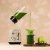 Cecotec Glasmixer Power svart Titanium RetroGreen Grön
