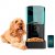 Cecotec Automatisk matare Pumba 6000 Purrfect Meal Smart Vision 6 L Svart rostfritt stål