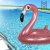 Uppblåsbar poolflotta Flamingo