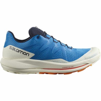 Hardloopschoenen voor Volwassenen Salomon Pulsar Trail Blauw