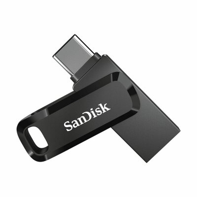 USB Pendrive SanDisk SDDDC3-256G-G46 256 GB Schwarz Schlüsselanhänger 256 GB (Restauriert A)