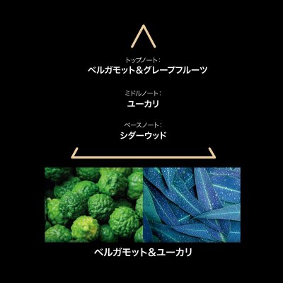 Le Couvent des Minimes 50 ml