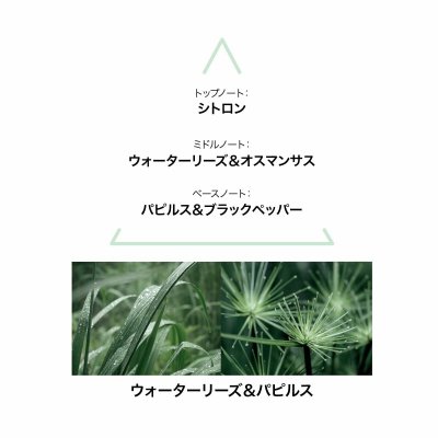 Le Couvent des Minimes 100 ml