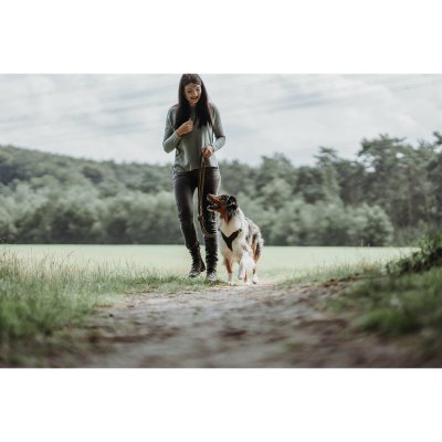 Hunter DoHundkoppel Brun 2 m Justerbar Läder