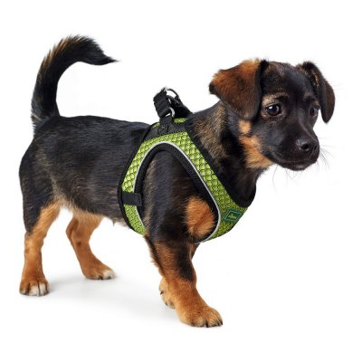 Hundsele Hunter Hilo-Comfort Lime XS-storlek (35-37 cm)