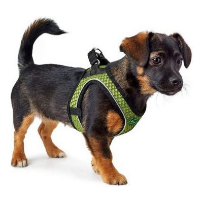 Hundsele Hunter Hilo-Comfort Lime Storlek M/L (58-63 cm)