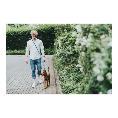 DoHundkoppel Hunter HILO Blå (200 cm)