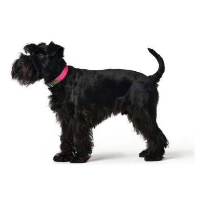 Hundhalsband Hunter Convenience rosa Storlek M (38-46 cm) Plast