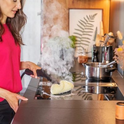 Kärcher rengörare Ånga 1500 W Svart