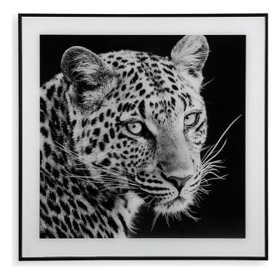Tavla Versa Tiger Glas (2 x 50 x 50 cm)