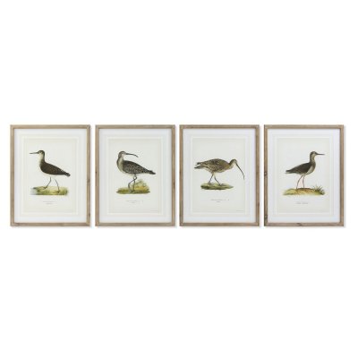 Schilderij DKD Home Decor S3017831 Vogels (55 x 2,5 x 70 cm) (4 Stuks)