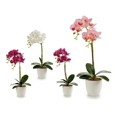 Bloempot Orchid Paars Roze Lila Wit Plastic (51 cm)