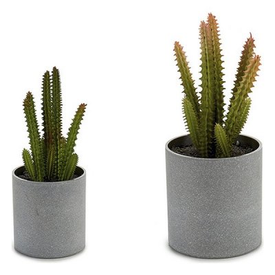 Kruka Liten Kaktus (7,5 x 19 x 7,5 cm)