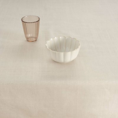 Fläckresistent bordsduk Belum Liso Ljusgrå 250 x 150 cm