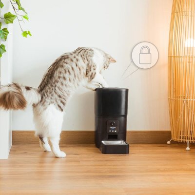 Cecotec Automatisk matare Pumba 6000 Purrfect Meal Smart Vision 6 L Svart rostfritt stål