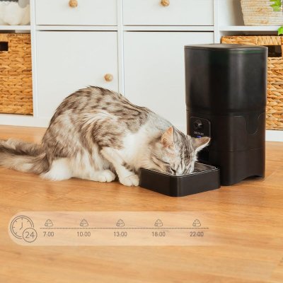 Cecotec Automatisk matare Pumba 6000 Purrfect Meal Smart Vision 6 L Svart rostfritt stål