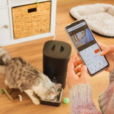 Cecotec Automatisk matare Pumba 6000 Purrfect Meal Smart Vision 6 L Svart rostfritt stål
