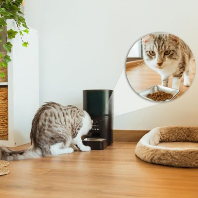 Cecotec Automatisk matare Pumba 6000 Purrfect Meal Smart Vision 6 L Svart rostfritt stål