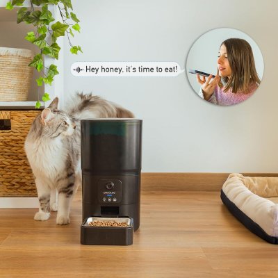 Cecotec Automatisk matare Pumba 6000 Purrfect Meal Smart Vision 6 L Svart rostfritt stål