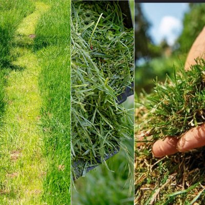 Cecotec Batterigräsklippare Brushless E7 Liberty Z Plus 20V 43cm 45L 3-i-1 blå