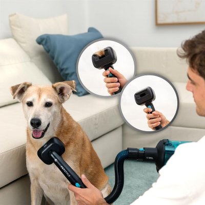 Cecotec Skaftdammsugare Dammsugarborste RX50 Pet Flex 750 W Grå Aluminium