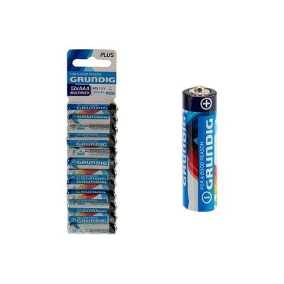 Batterijen Grundig RO3 (12 pcs)