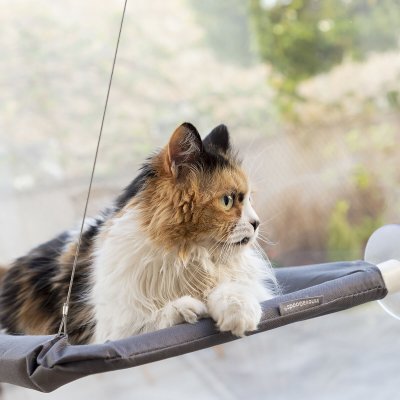 InnovaGoods Hängmatta för katt Catlax Grå Polyester
